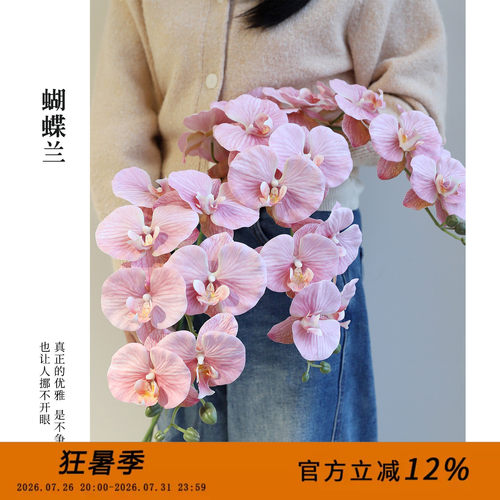高仿真客厅干花客厅家居插花