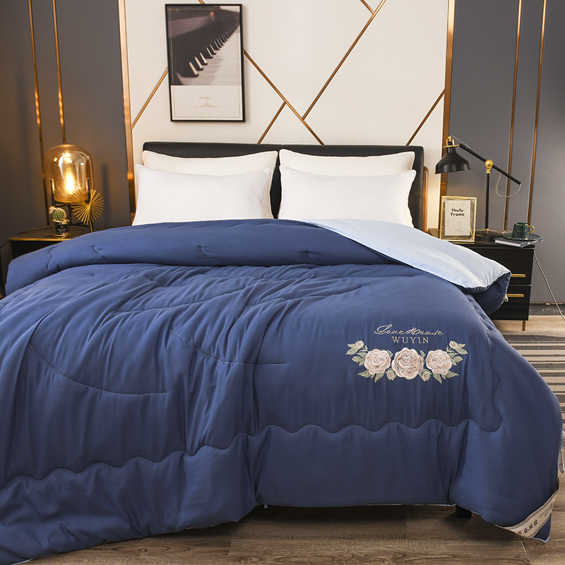 冬季双人加厚蚕丝被桑蚕丝被秋冬被保暖冬季被芯被子清仓包邮