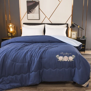 包邮 被芯被子清仓 双人加厚蚕丝被桑蚕丝被秋冬被保暖冬季 冬季