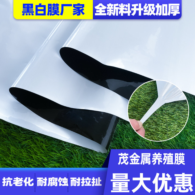 进口遮阳养殖无滴食用菌膜鸡鸭反光大棚保温黑白加厚隔热降温猪舍