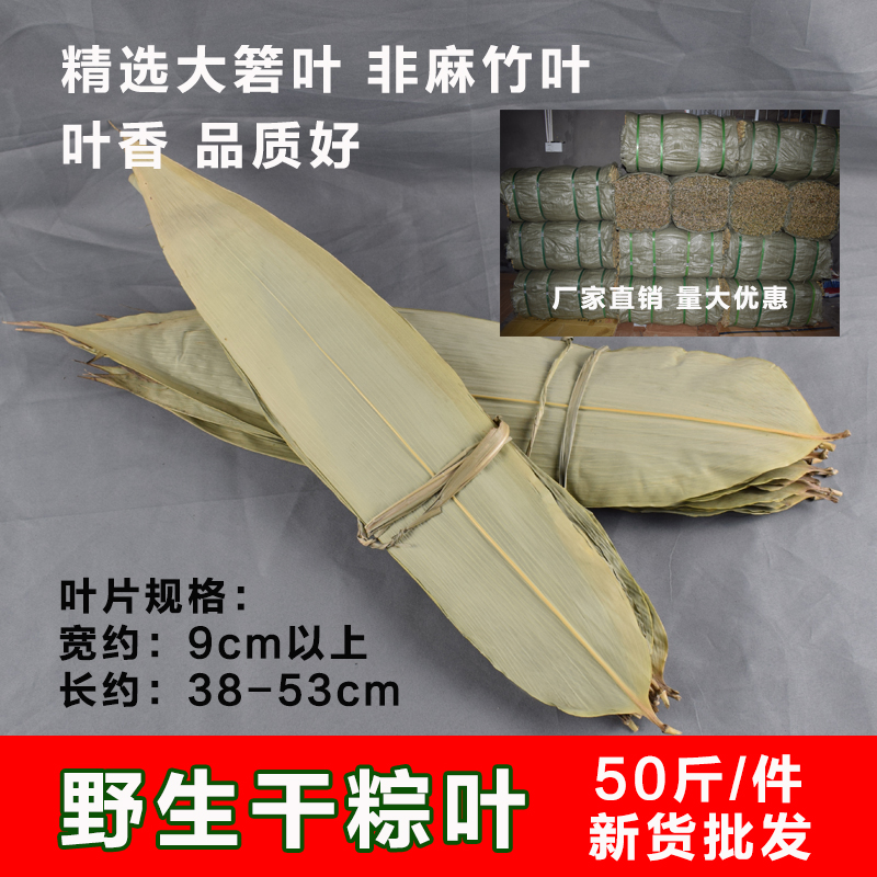 特级大号精选新鲜天然野生粽子叶