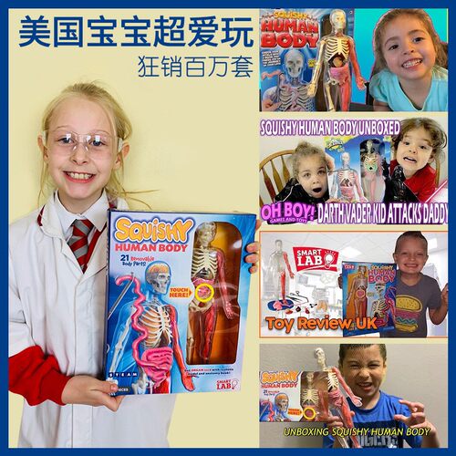 smartlab探索人体解剖儿童玩具