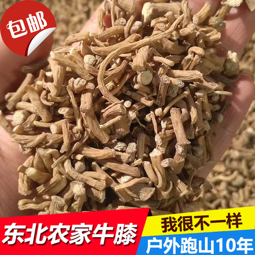 正品东北辽宁牛膝小段状 怀牛膝非川牛膝 无硫 自然晾晒500g包邮