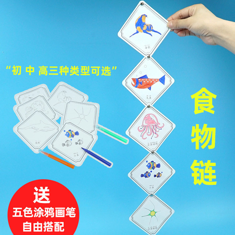 科学实验器材 diy食物链生物链幼儿园 小手工 科技小制作幼儿认识