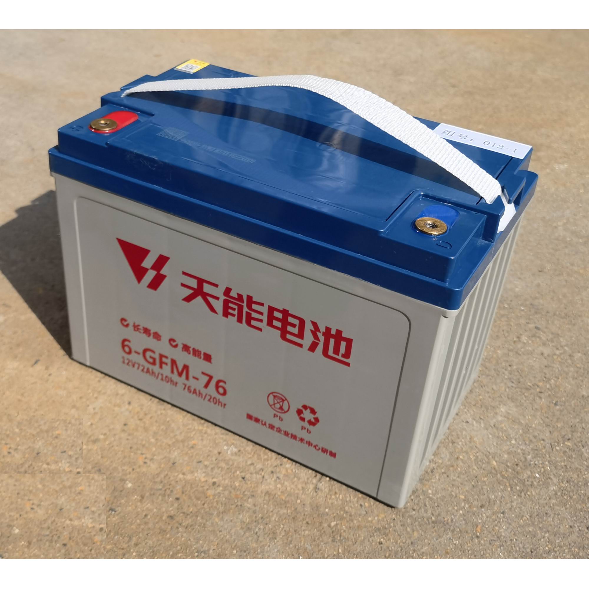 天能12V观光车洗地机电池