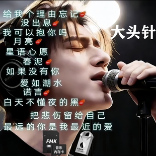 大头针AI车载音乐U盘7天无理由退换免费试用质量问题只换不修