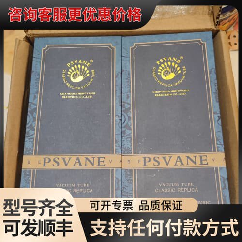 议价贵族之声we300b电子管一对可维修