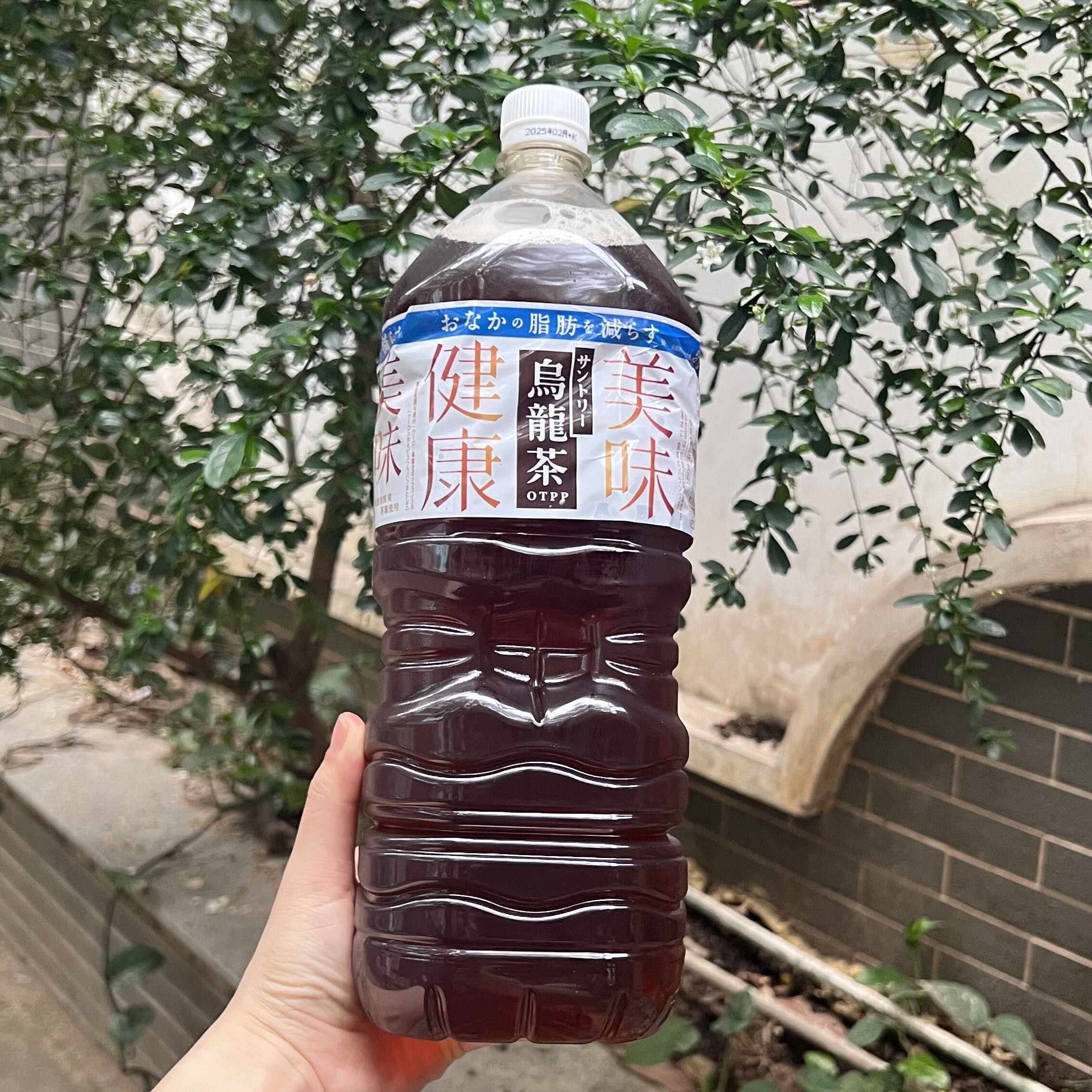 日本 三得利乌龙茶饮无糖健康夏日饮品家庭装2l*6瓶/箱