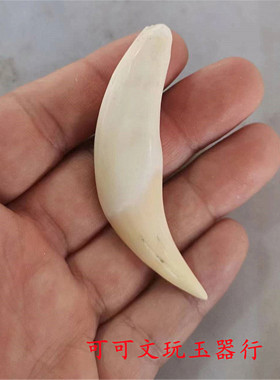 天然骆驼牙齿吊坠牙文玩古玩保真骆驼牙收藏护身男士项坠动物牙齿