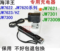 [JW7620 7622 7621 7300B 7623HZ 7301HL手电筒原装充电器]