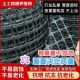 塑料网养鸡鸭网圈玉米网果园圈地围栏黑胶漏粪网土工格栅养殖网