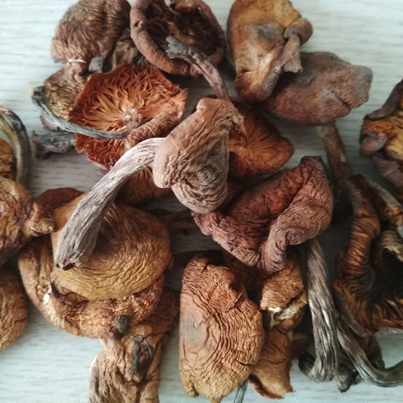 东北干榛蘑500g大兴安岭野生榛蘑干货小鸡炖蘑菇无根真磨臻菇