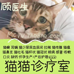 猫猫诊疗室兽医顾医生宠物医生在线咨询宠物诊所线上看病诊疗咨询