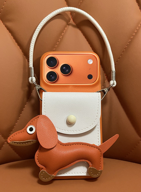 适用苹果17ProMax手机壳橙色手斜挂绳零钱包iPhone16pro软胶防摔15保护套皮纹可装卡14p小众高级女13好看新款