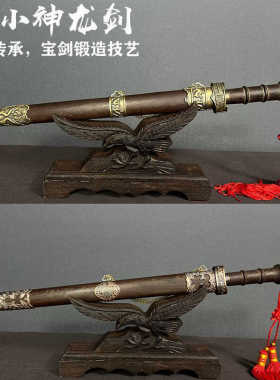 刀剑小神龙一体未开刃冷兵器