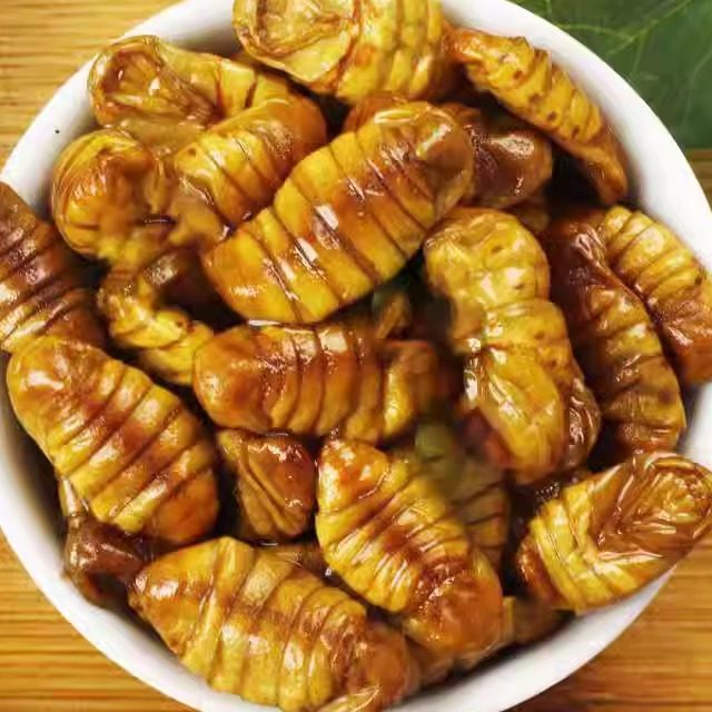 石泉蚕蛹陕南蚕子桑蚕蛹