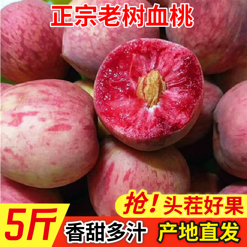 老树血桃5斤装桃子新鲜水果现摘现发红心桃子老品种脆甜毛桃应季