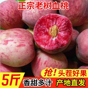 老树血桃5斤装桃子新鲜水果现摘现发红心桃子老品种脆甜毛桃应季