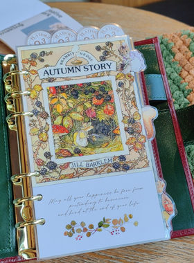 QY野蔷薇插画A5A6A7奇葩M5方方子A5slim手工塑封分隔页田园索引