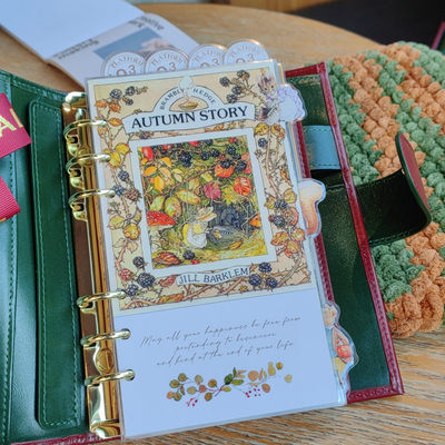 QY野蔷薇插画A5A6A7奇葩M5方方子A5slim手工塑封分隔页田园索引