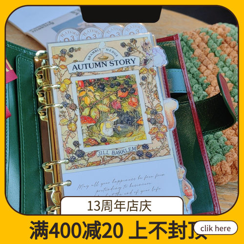 QY野蔷薇插画A5A6A7奇葩M5方方子A5slim手工塑封分隔页田园索引