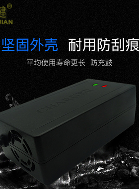 电动车摩托车汽车电瓶充电器12v12ah24v20ah36v30ah40a轮椅代步车