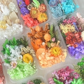 节日手工礼物永生花干花diy材料真花自然蜡烛团扇相框环创装 饰