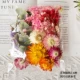 Zou Chrysanthemum/Pink 1 сумка