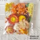 Zou Chrysanthemum/Orange 1 сумка