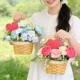 女神节插花手提篮材料包小花篮手工创意礼物diy花艺团建沙龙活动