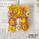 Zou Chrysanthemum/желтая 1 сумка