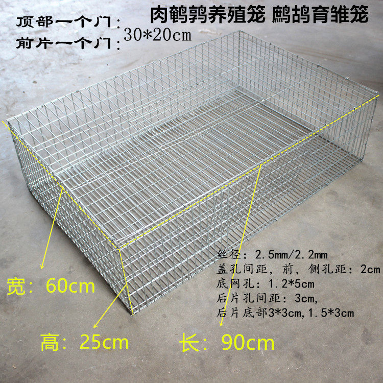 单层加粗加密鸡鸟运输笼家庭养殖饲养鹌鹑笼肉鹌鹑鹧鸪育雏笼大型
