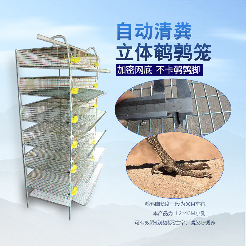 鹌鹑笼六层立式h型鹌鹑笼肉鹌鹑育雏笼可自动清粪喂料多层养殖笼