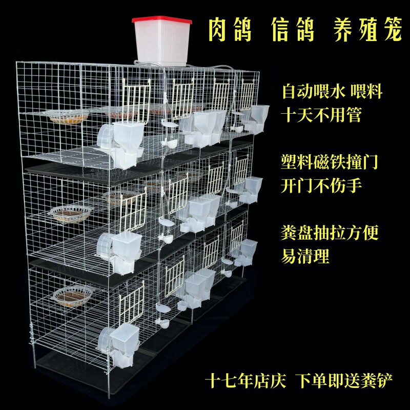 新品加粗肉鸽信鸽养殖笼配对笼12笼位自动喂食喂水带拖粪盘塑料门