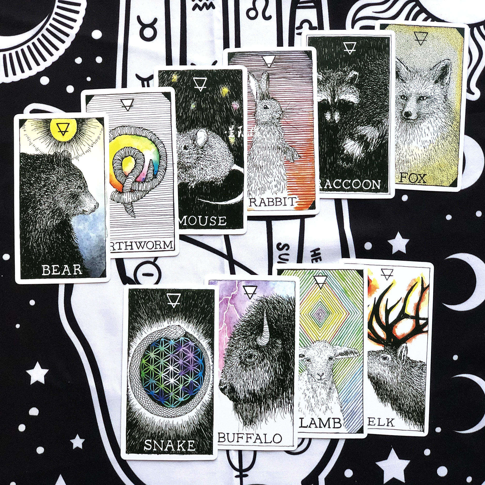the wild unknown animal spirit tarot未知的野生动物灵魂塔罗牌