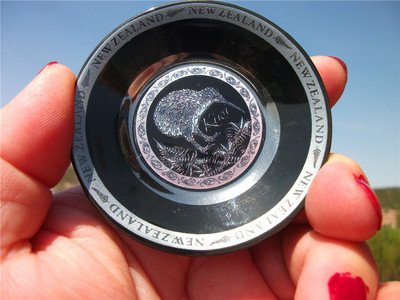 新西兰当地购买冰箱贴