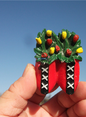 荷兰当地购买冰箱贴 荷兰 特色木鞋与郁金香 热烈的红色 XXX标志