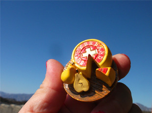 世界各国旅游纪念冰箱贴 瑞士 木板上奶酪与梨 两款 SWITZERLAND