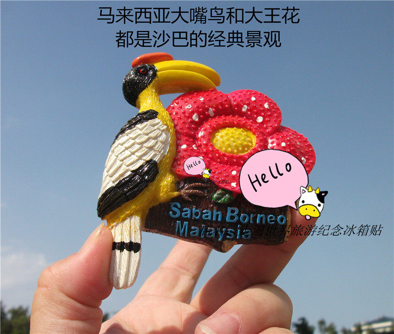 TOURIST COMMEMORATIVE FRIDGE MAGNET MALAYSIA SABAH ISLAND SABAH RAFFLESIA TOUCAN