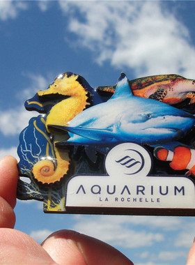 法国当地冰箱贴 GRAND AQUARIUM DE TOURAINE LA ROCHELLE两款
