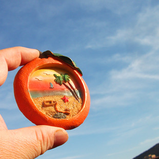 马尔代夫当地购买冰箱贴 水果形 美丽海滩 可爱的鱼儿 多款