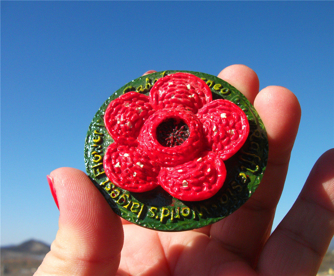 MALAYSIA LOCAL BUY FRIDGE MAGNETS SABAH RAFFLESIA DELICATE SABAH