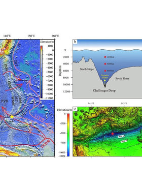 Mapgis区矿调矿产勘查dgss路线设计整理corel制绘图Section代做画