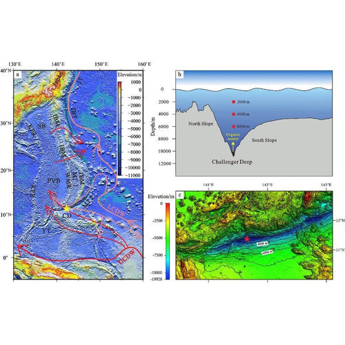 Mapgis区矿调矿产勘查dgss路线设计整理corel制绘图Section代做画