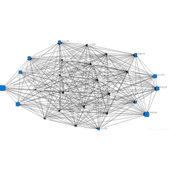 ucinet分析R知识图谱neo4j gephi社会networkx复杂网络igraph代做