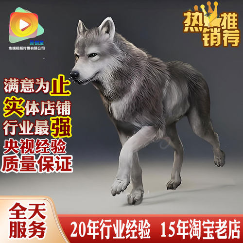 UE虚幻5四足动物怪物怪兽野兽走路奔跑进攻攻击代做定制作外包U3D