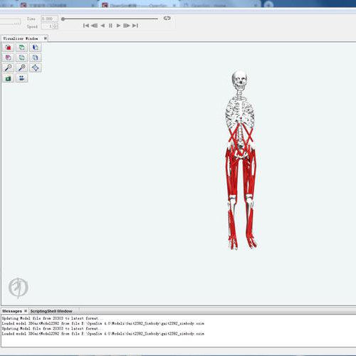 OpenSim生物运动学肌肉模型开发模拟仿真与分析神经肌肉系统代做