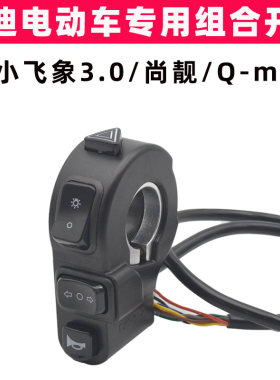 雅迪小飞象3.0尚靓Qmi电动车开关