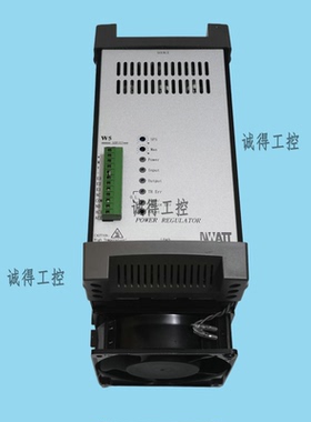 W5TP4V125-24J全新原装NWATT桦特三相125A工程电力调整器厂家直销