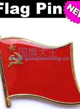 国旗商务胸针金属徽章